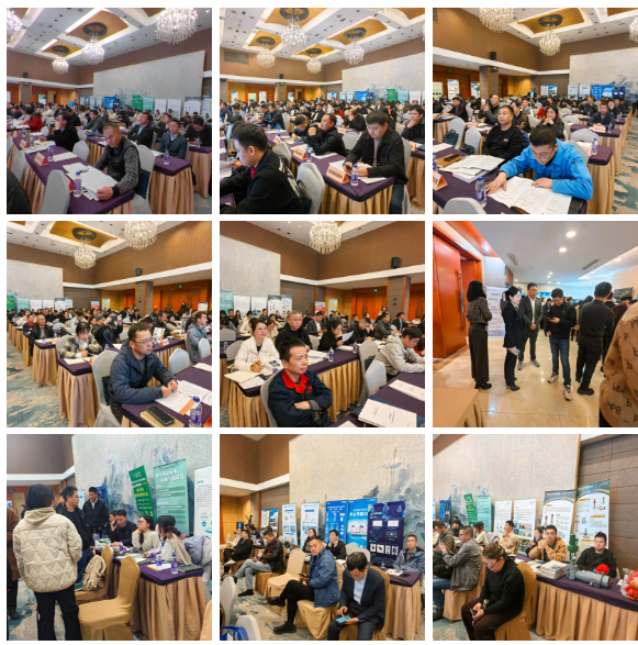 1742537197788009.png 1742537189648.png